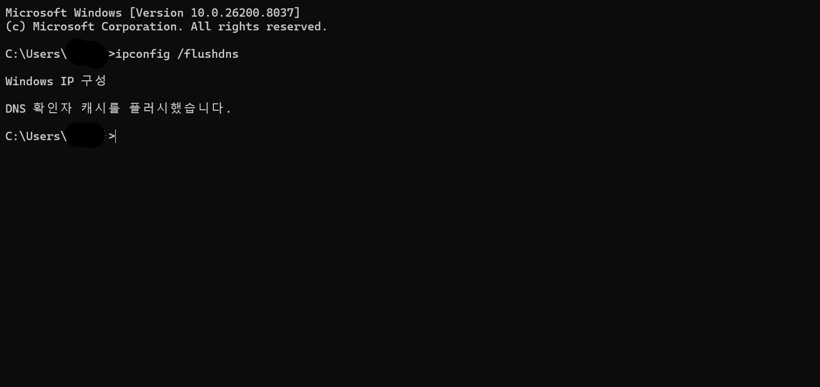 dns ĳ�� ���� ȭ��